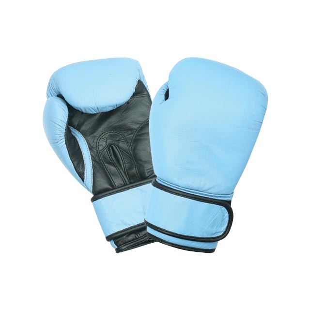 Female Training Boxing Gloves