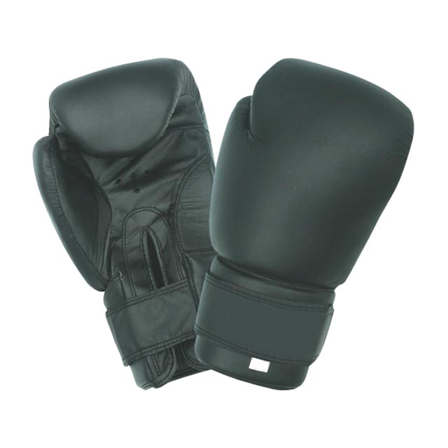 Youth Boxing Gloves